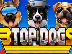 3 Top Dogs